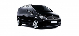 Коврики в салон (2 ряда) Mercedes Viano (W639) 2003-2014*