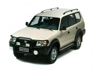 Коврики в салон (2 ряда) Toyota Land Cruiser Prado 90 1996-2002 (3 двери) 