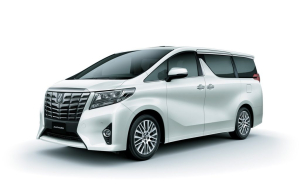 Коврики в салон (2 ряда) Toyota Alphard III 2015-2023 (Правый руль) 2 ряд капитан.7 мест*