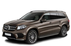 Коврики в салон (2 ряда) Mercedes GLS I (X166) 2016-2019